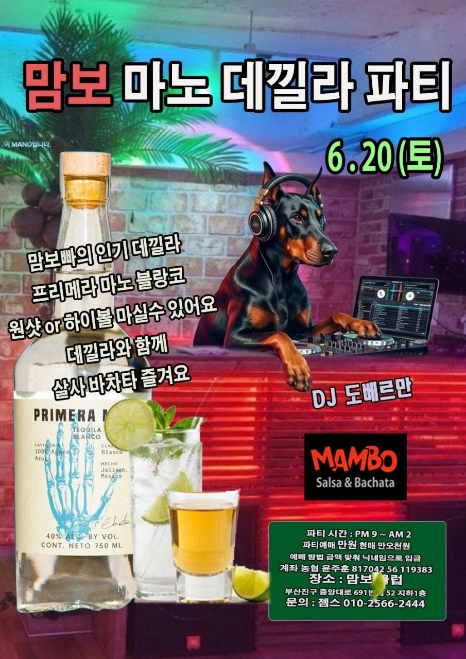  - 🥃 맛있는 술 🎶 좋은 음악