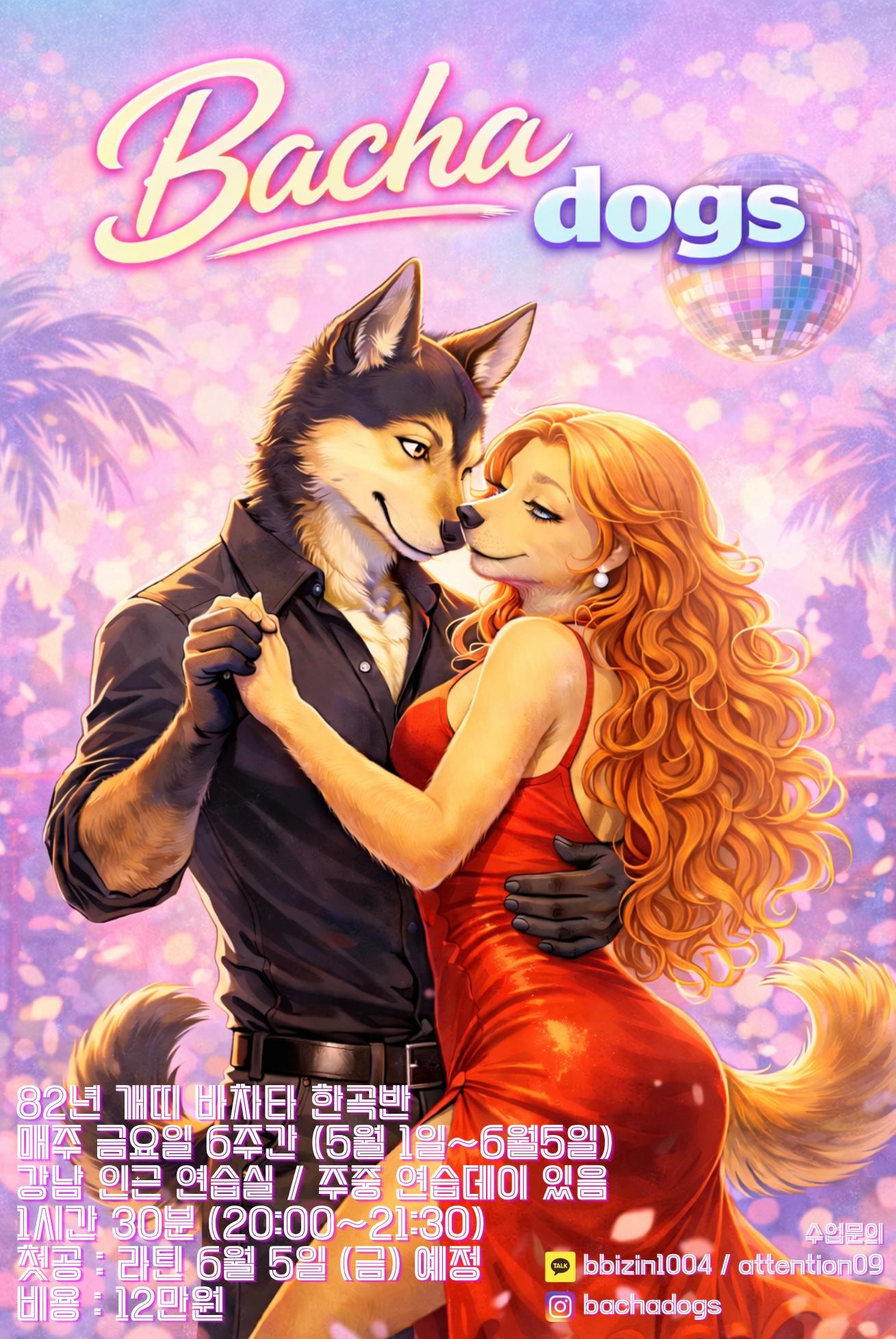  - Bacha dogs / 82년 개띠 바차타 한곡반
