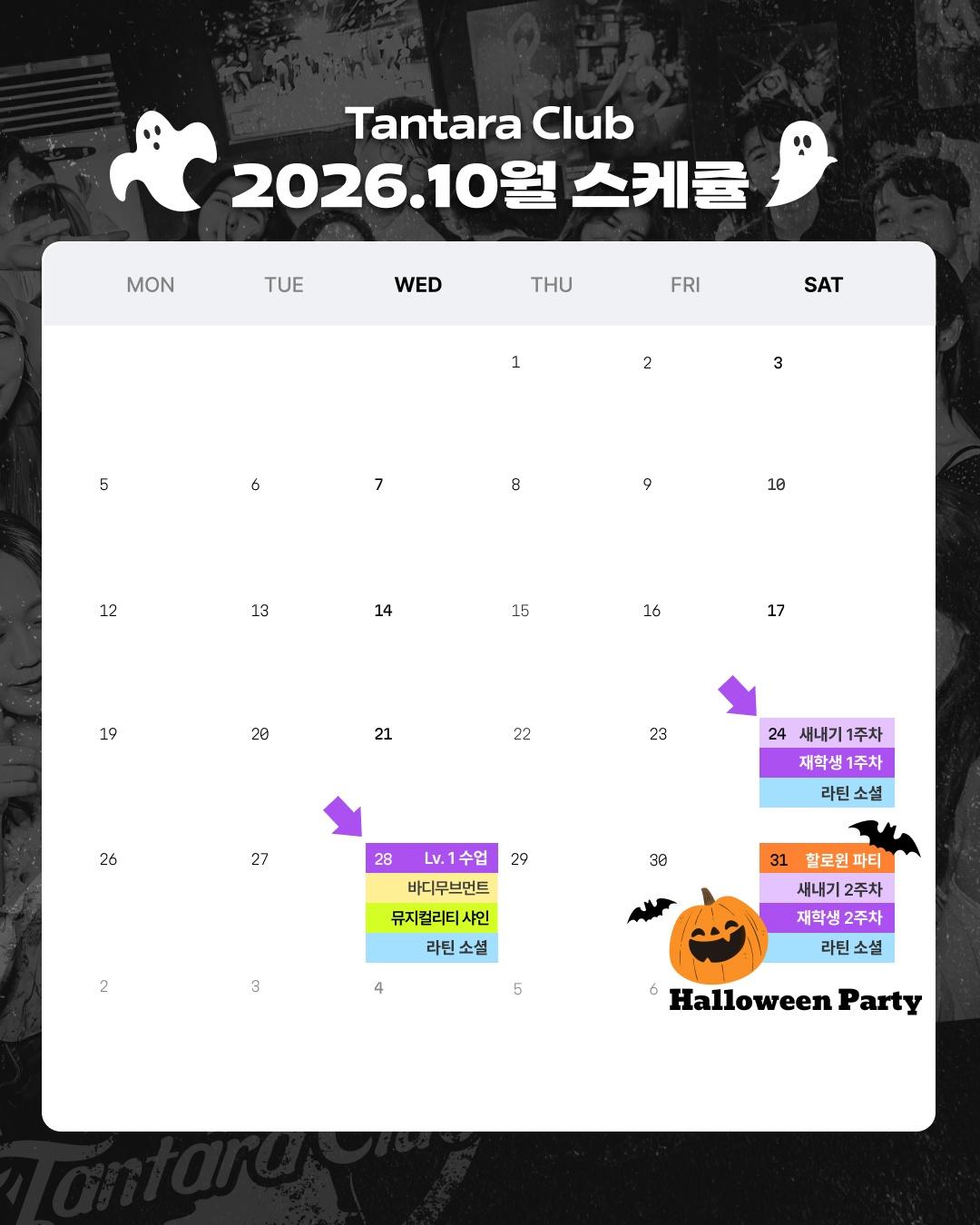  - Tantara Club 2030 라틴댄스 동아리 10월-11월 스케줄