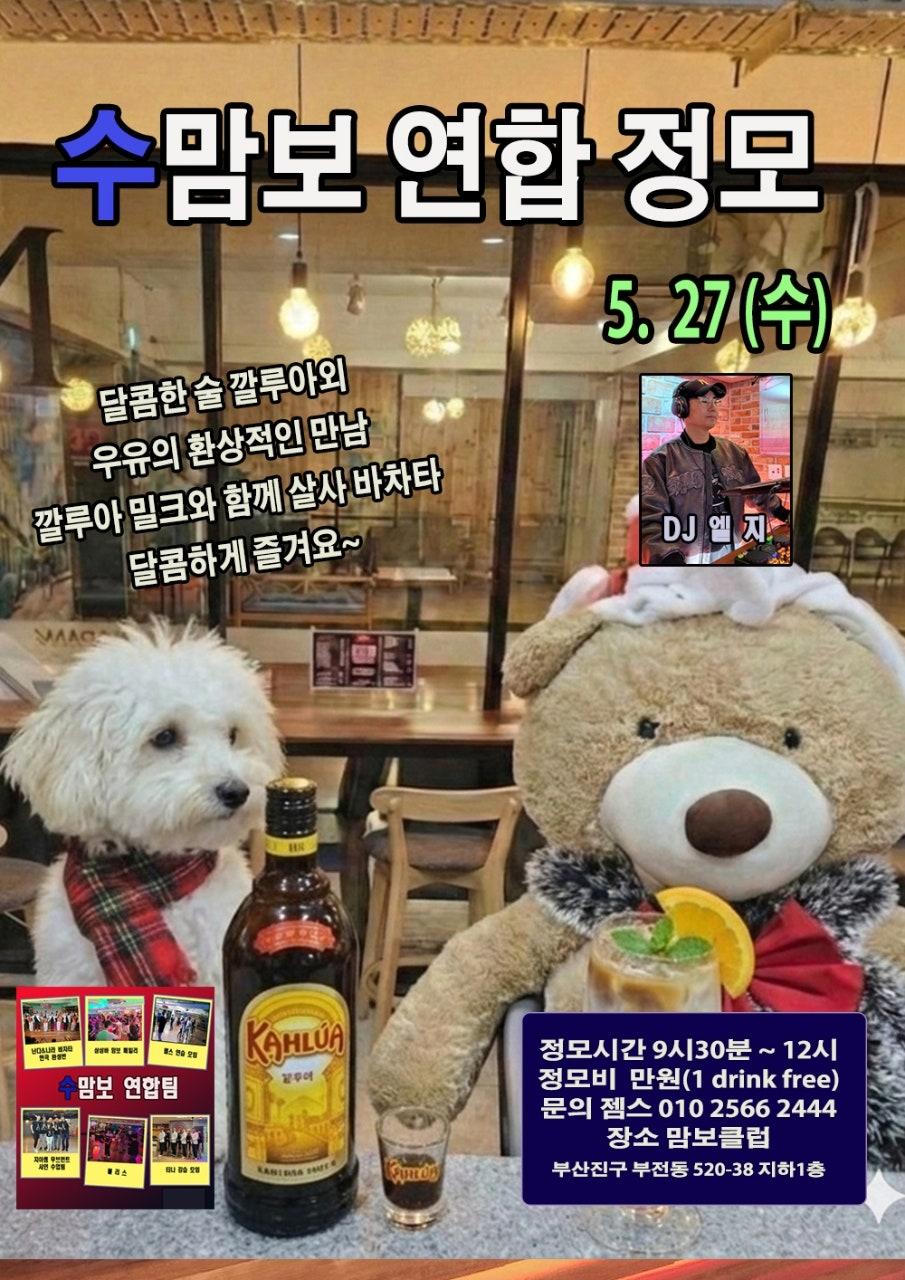  - 맘보 연합 정보